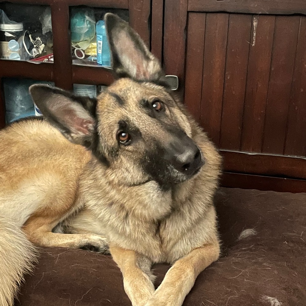 Meet your Posher, Andrew